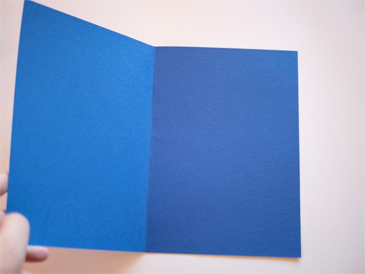 P12607251955647062_scaled_720 P12607251955647062_scaled_720